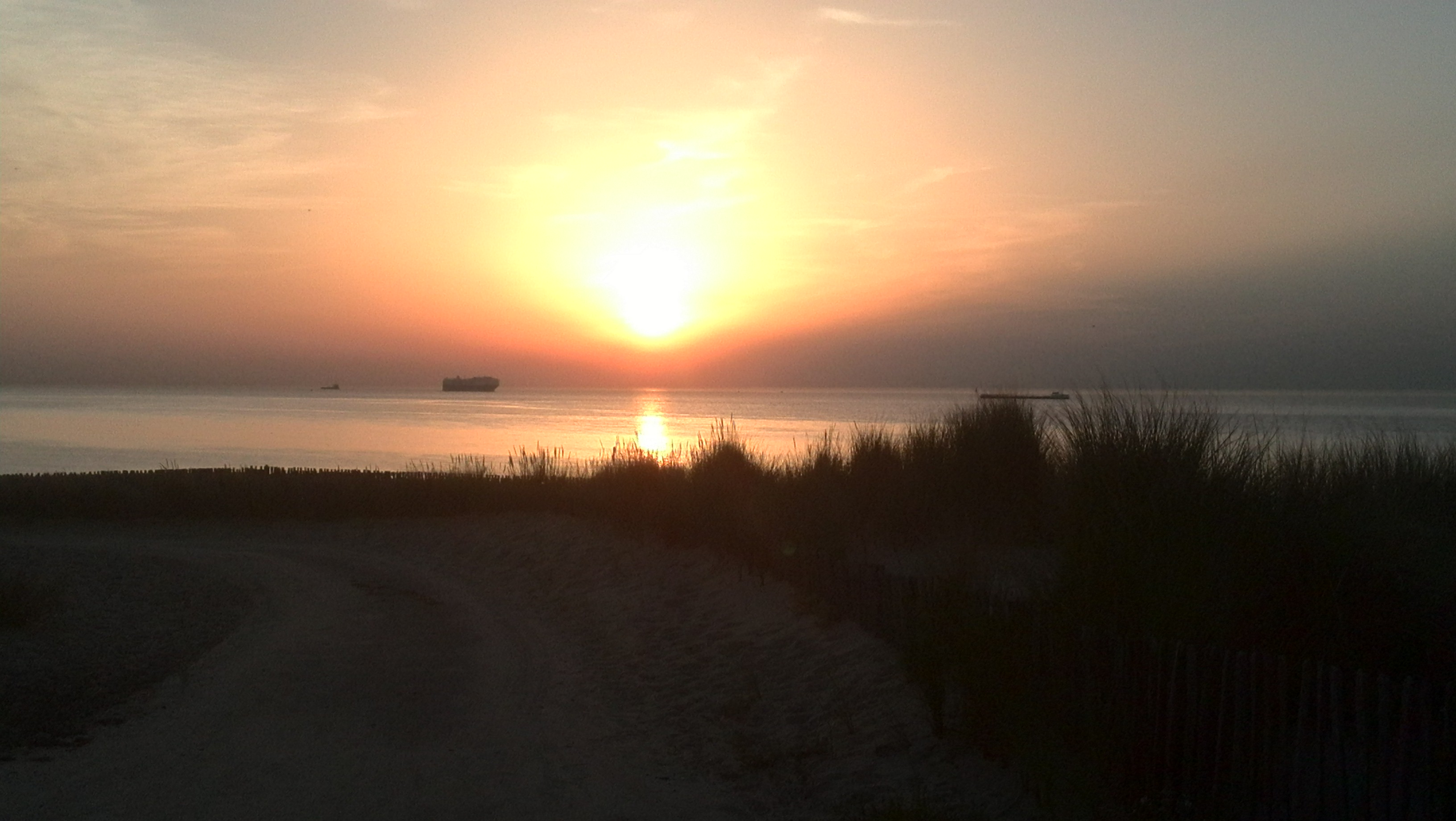 Sand für die Küste